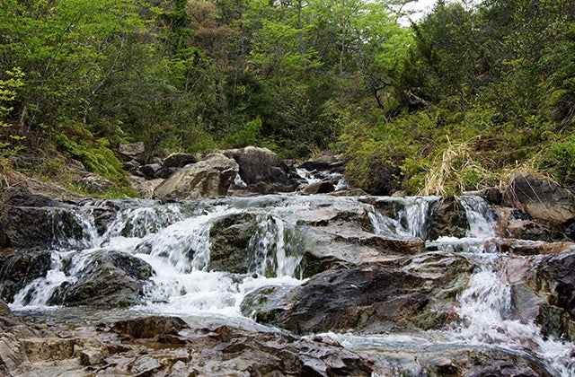 スポットの写真