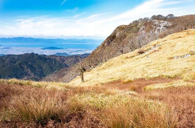 スポットの写真