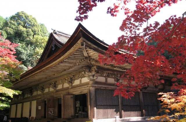 スポットの写真