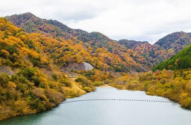 スポットの写真