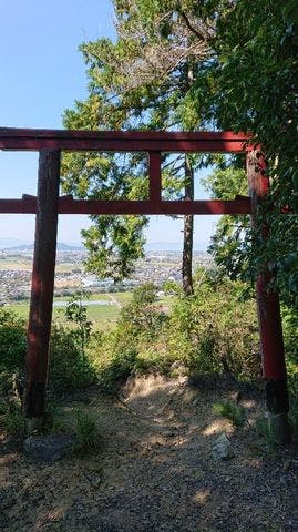 スポットの写真