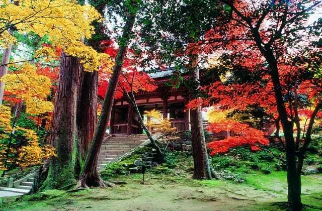 スポットの写真