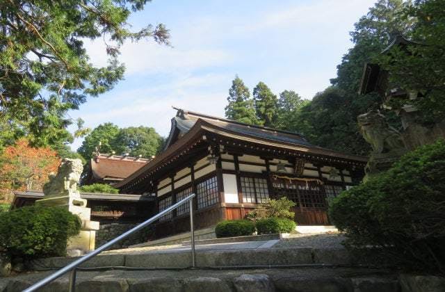 スポットの写真