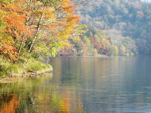 【2022年】丸沼・菅沼の紅葉