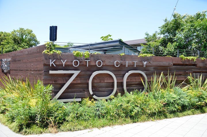 京都市動物園