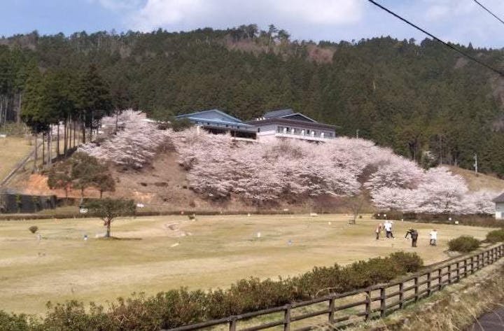 あやべ温泉の桜