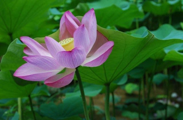 スポットの写真