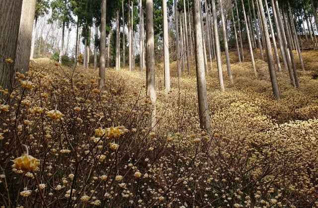 スポットの写真