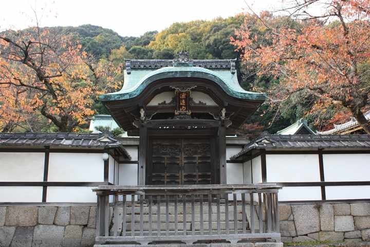 スポットの写真