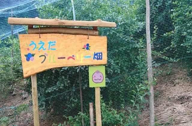 スポットの写真