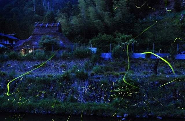 スポットの写真