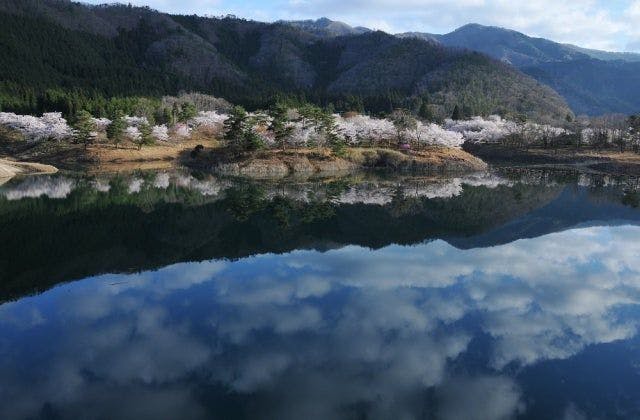 スポットの写真