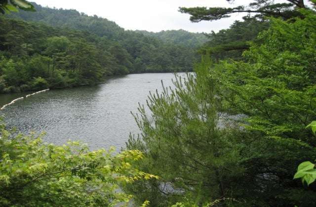 スポットの写真