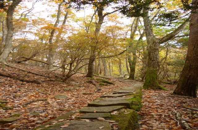 スポットの写真