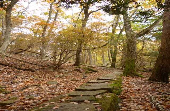 京都府立るり渓自然公園