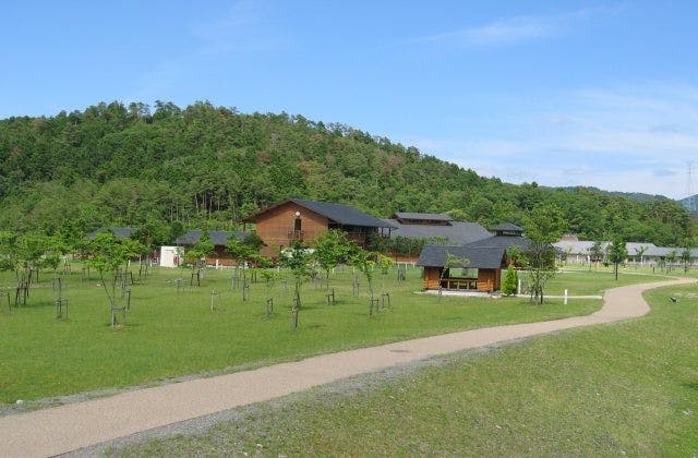 スポットの写真