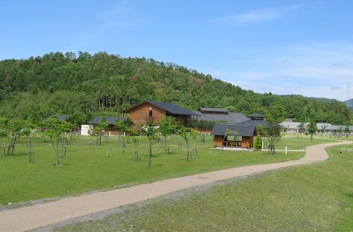 京都府立 府民の森ひよしキャンプ場