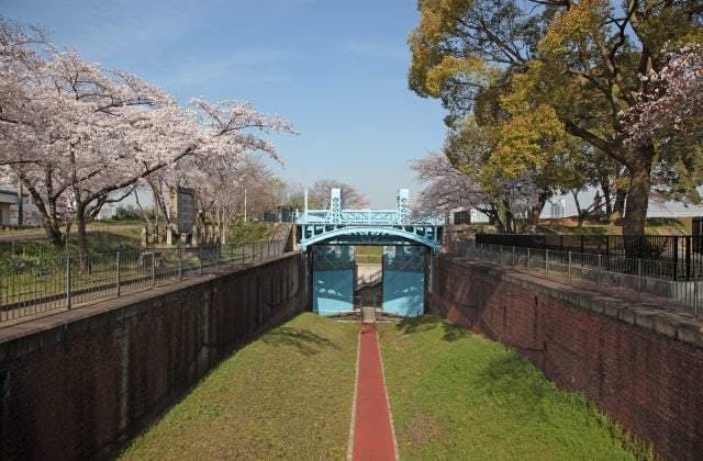 スポットの写真