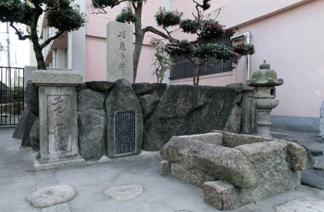 スポットの写真