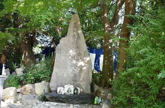 スポットの写真