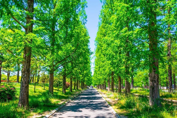 花博記念公園鶴見緑地