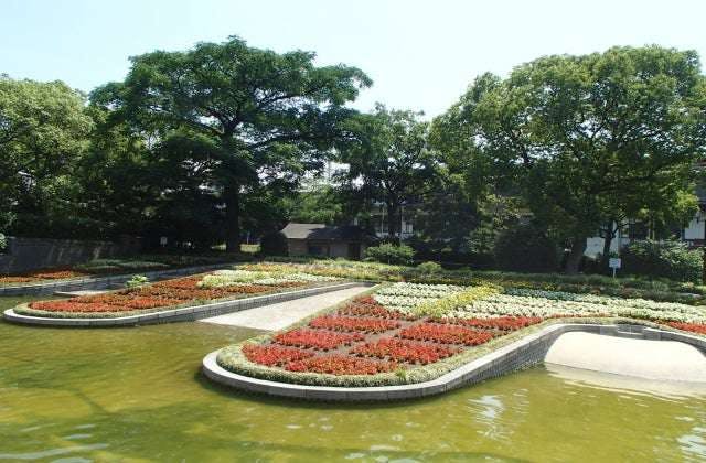 スポットの写真