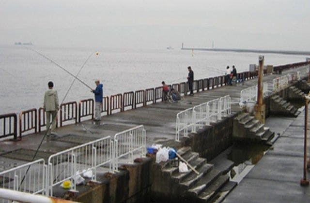 スポットの写真