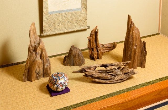 スポットの写真