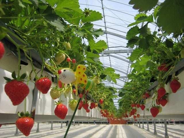 スポットの写真