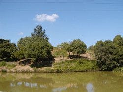 スポットの写真