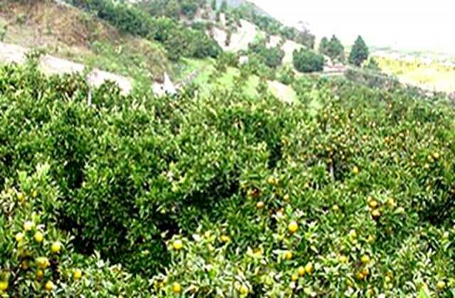 スポットの写真