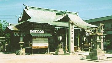 スポットの写真