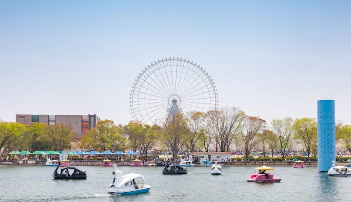 万博記念公園 アソビュー