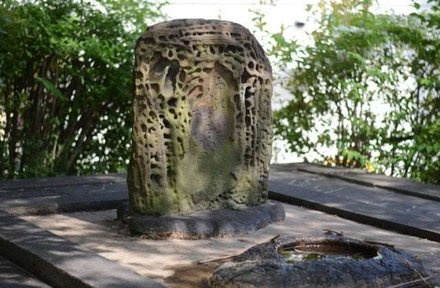 スポットの写真