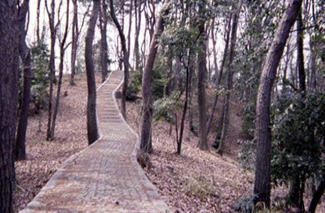 スポットの写真