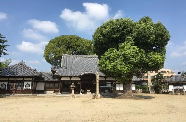 スポットの写真