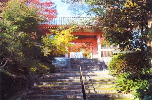 スポットの写真