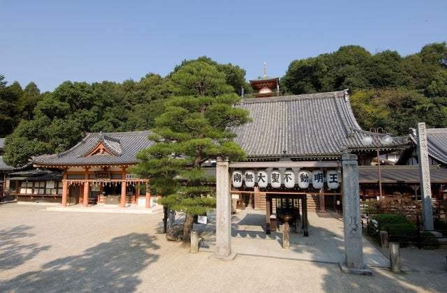 スポットの写真