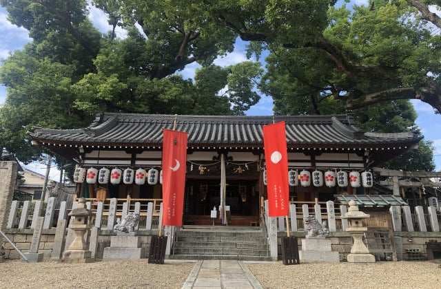 スポットの写真