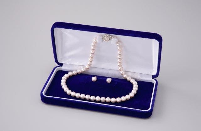 スポットの写真