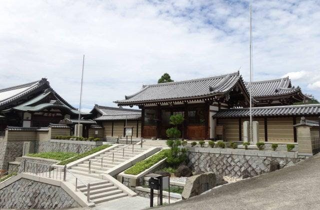 スポットの写真