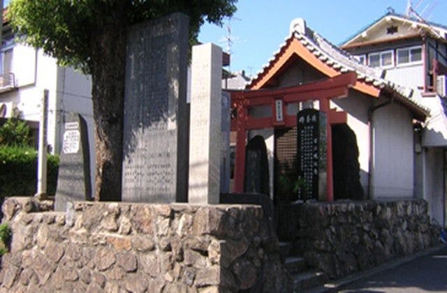 スポットの写真