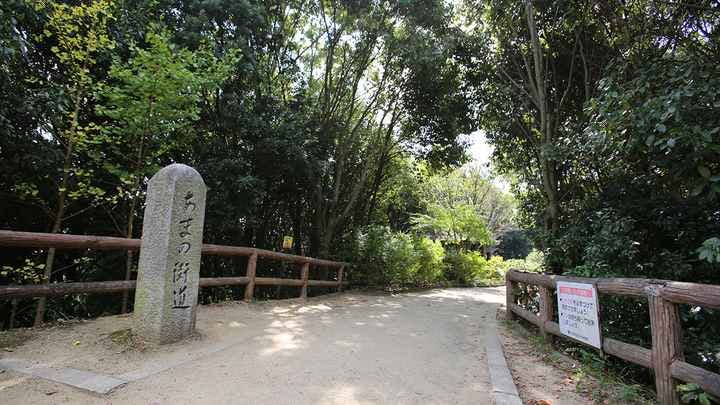 スポットの写真