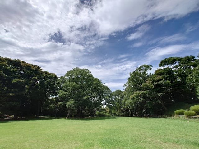 富岡総合公園