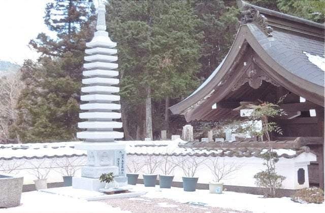 スポットの写真