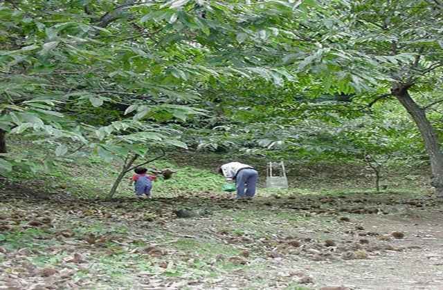 スポットの写真