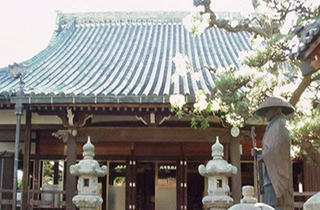 スポットの写真