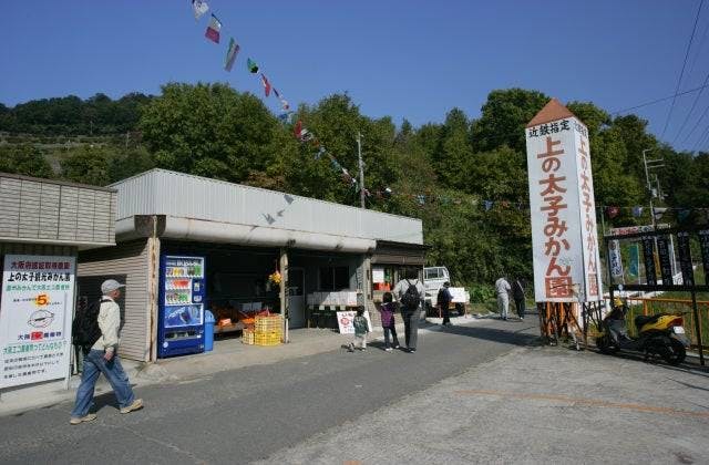 スポットの写真