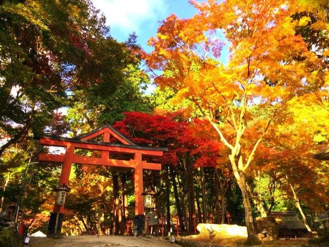 【2022年】日吉大社の紅葉