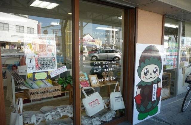 スポットの写真